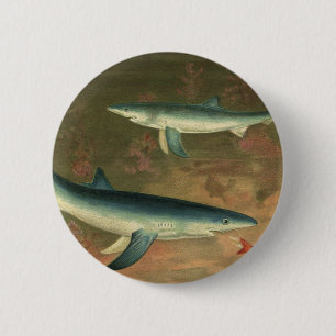 Badge Rond 5 Cm Requin bleu vintage mangeant du poisson, Marine Li