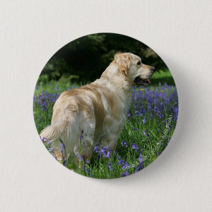 Badge Rond 5 Cm Retreiver d'or en fleurs
