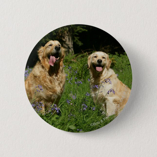 Badge Rond 5 Cm Retreivers d'or dans l'herbe (Devant)