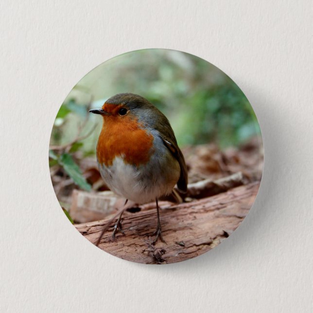 Badge Rond 5 Cm Robin sur un membre (Devant)