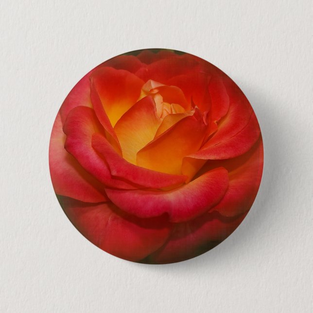 Badge Rond 5 Cm Rose à flamme sur parchemin (Devant)