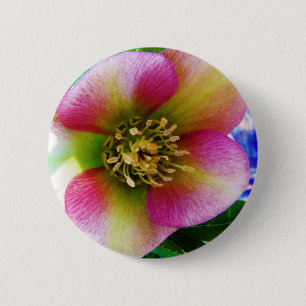 Badge Rond 5 Cm Rose de carême rose,