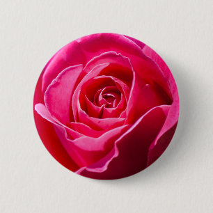 Badge Rond 5 Cm Rose rouge poussant dans un jardin
