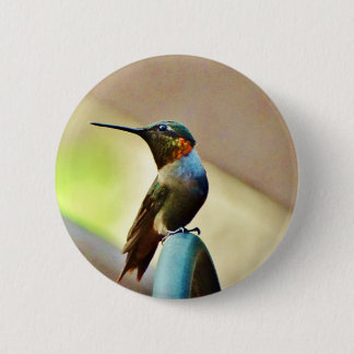 Badge Rond 5 Cm Ruby perché et petit colibri vert