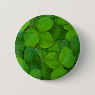 Badge Rond 5 Cm Saint Basil Tulsi Green Mint Feuilles