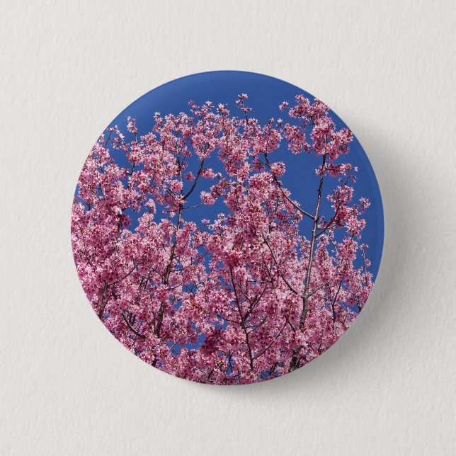 Badge Rond 5 Cm Sakura Cherry Fleurit Dans Le Bleu (Devant)