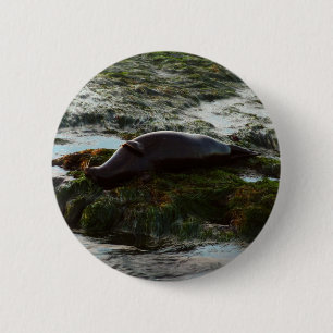 Badge Rond 5 Cm Sceau du port de Sunset Lit II à San Diego