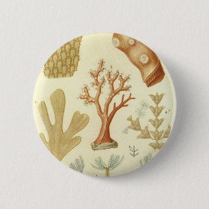 Badge Rond 5 Cm Science Textbook Biologie, Corail Vintage Animaux