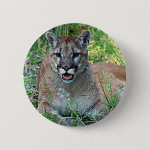 Badge Rond 5 Cm Se plaindre de puma