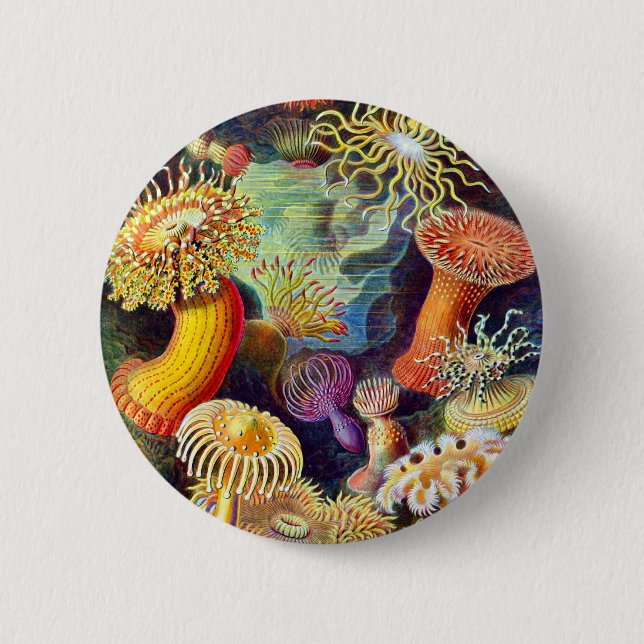 Badge Rond 5 Cm Sea Anemones Ernst Haeckel Art (Devant)