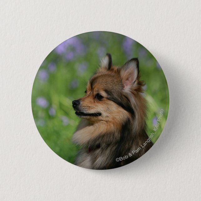Badge Rond 5 Cm Séance de Headshot de Pomeranian (Devant)