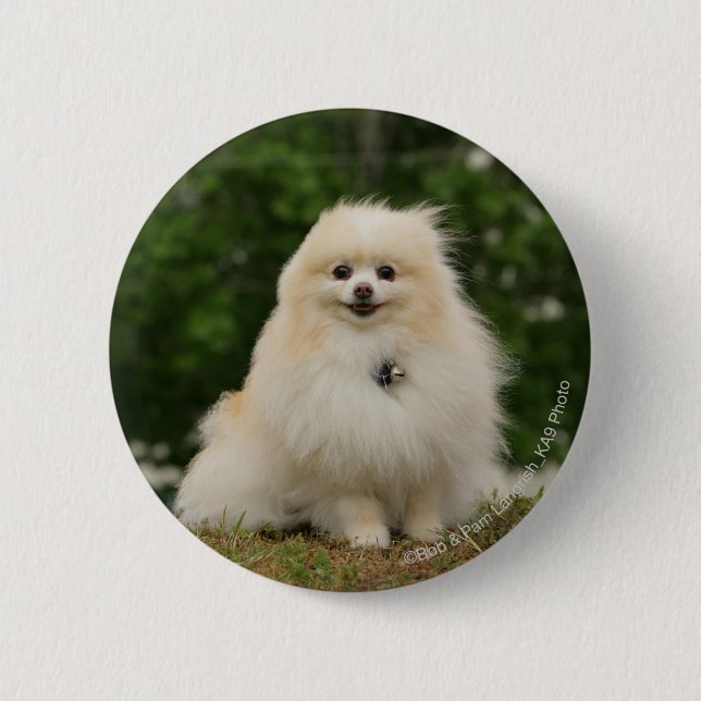 Badge Rond 5 Cm Séance de Pomeraning (Devant)