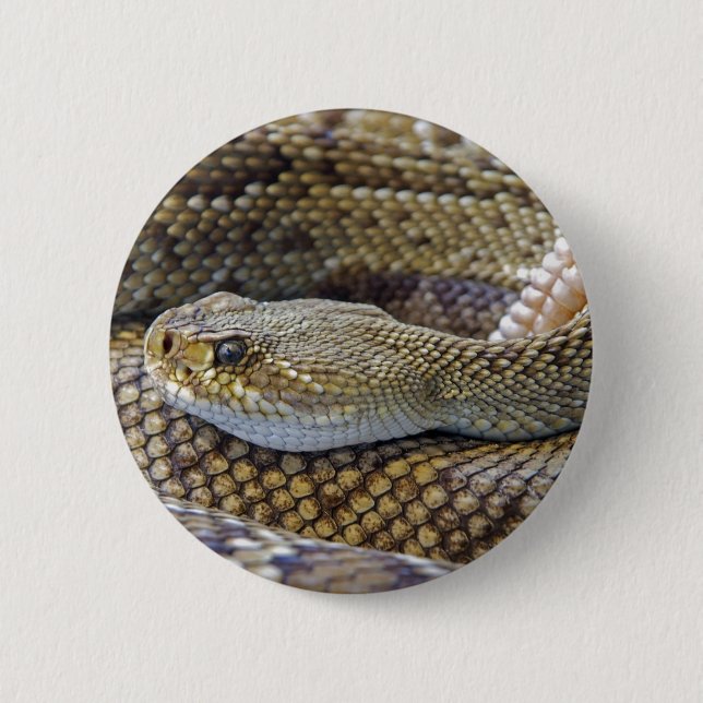 Badge Rond 5 Cm Serpent de bétail venimeux près (Devant)