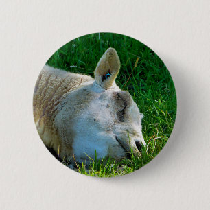 BADGE ROND 5 CM SHEEP