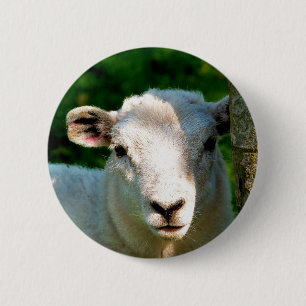 BADGE ROND 5 CM SHEEP