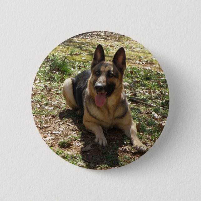 Badge Rond 5 Cm shepard allemand (Devant)
