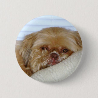 Badge Rond 5 Cm Shitzu mignon