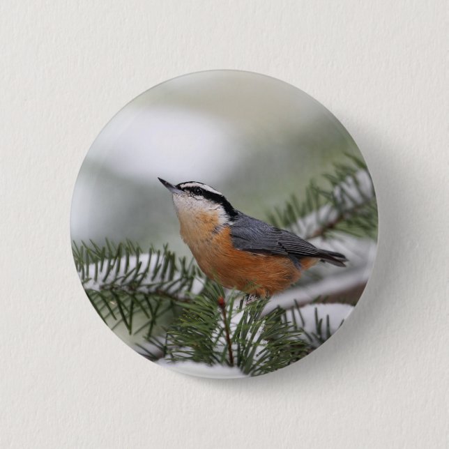 Badge Rond 5 Cm Sittelle sur la branche de Milou en hiver (Devant)