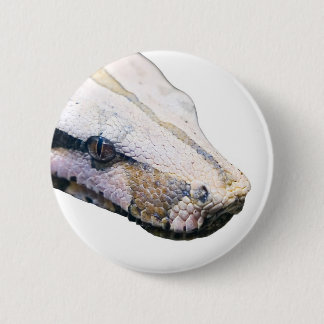 Badge Rond 5 Cm snakes- boa constricteur amazonien