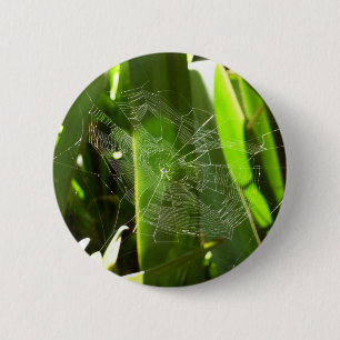 Badge Rond 5 Cm Spiderweb dans Tropical Leaves Nature