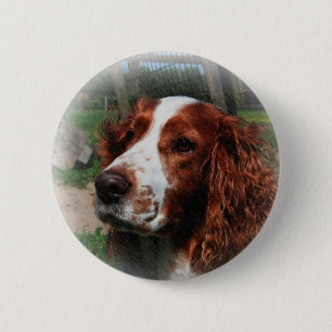 Badge Rond 5 Cm Springer Spaniel Chien Art