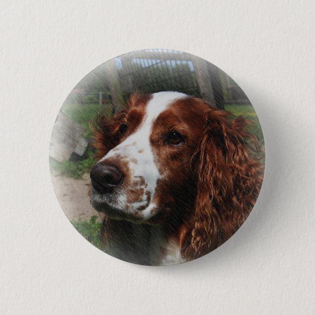 Badge Rond 5 Cm Springer Spaniel Chien Art (Devant)