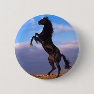 Badge Rond 5 Cm Stallion noir