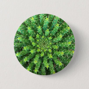 Badge Rond 5 Cm Succulent de cactus de vert de méduse d'euphorbe