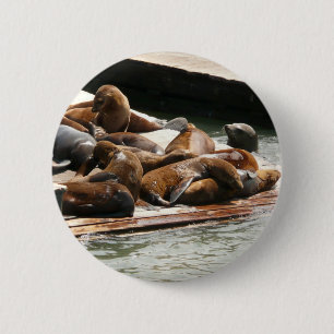 Badge Rond 5 Cm Sunning Lions à San Francisco