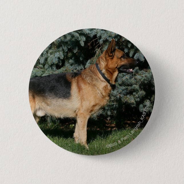 Badge Rond 5 Cm Support d'exposition de berger allemand (Devant)