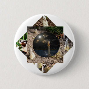 Badge Rond 5 Cm Suricate Polyscope,