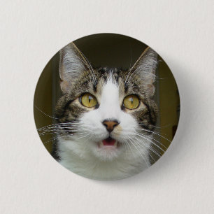 Badge Rond 5 Cm Syrus a choqué le bouton 0001