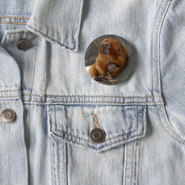 Badge Rond 5 Cm Tamarin d'or de lion avec le bébé 2 (En situation)
