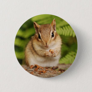 Badge Rond 5 Cm tamia douce de bébé
