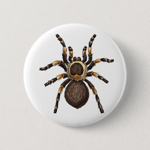 Badge Rond 5 Cm Tarantula