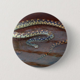 Badge Rond 5 Cm Taureau