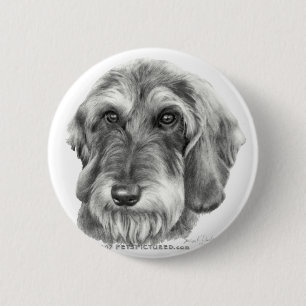 Badge Rond 5 Cm Teckel à poils durs