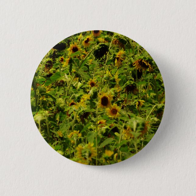 Badge Rond 5 Cm Terrain de tournesol (Devant)