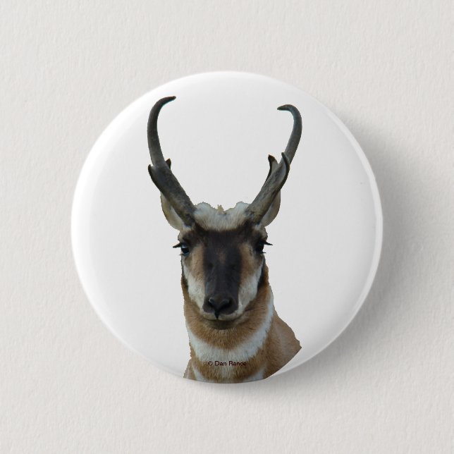 Badge Rond 5 Cm Tête d'antilope d'A9 Pronghorn (Devant)