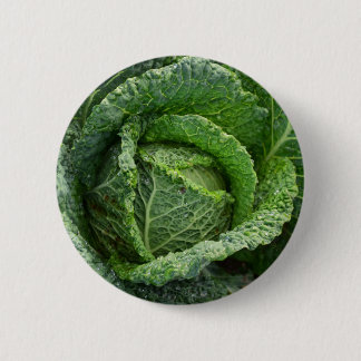 Badge Rond 5 Cm Tête de choux bio frais