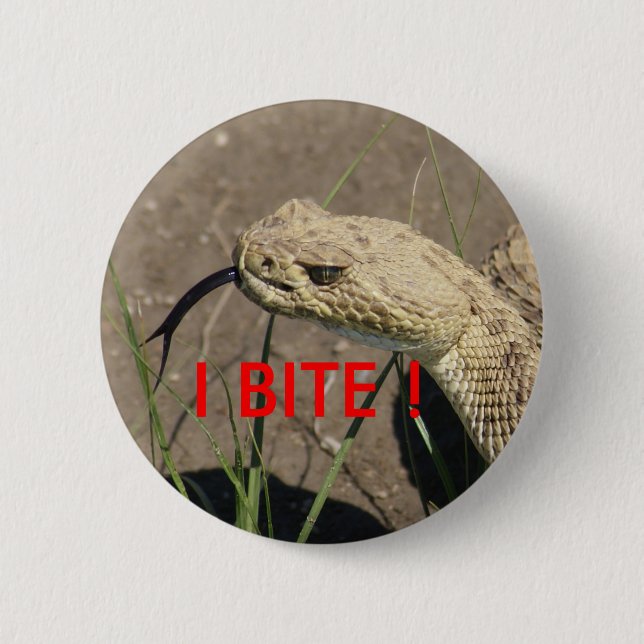 Badge Rond 5 Cm Tête de crotale R8 Prairie (Devant)