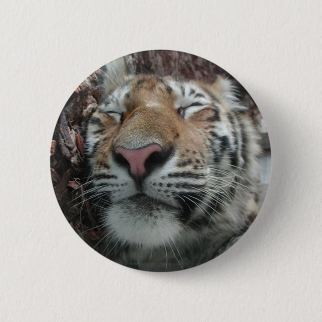 Badge Rond 5 Cm Tigre couchant (Devant)