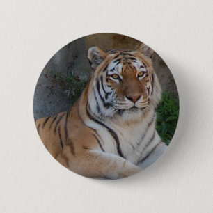 Badge Rond 5 Cm Tigres du Bengale