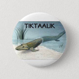 Badge Rond 5 Cm Tiktaalik