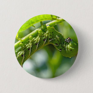 Badge Rond 5 Cm Tomato