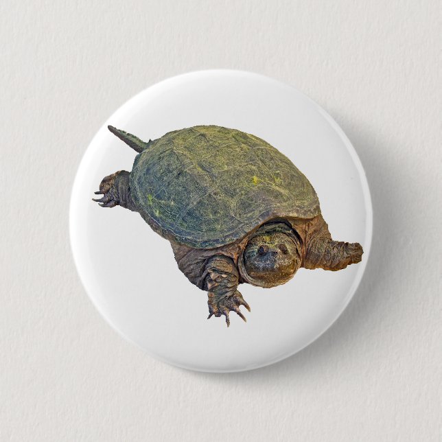 Badge Rond 5 Cm Tortue commune - Chelydra serpentina (Devant)