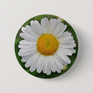 Badge Rond 5 Cm Tournesol