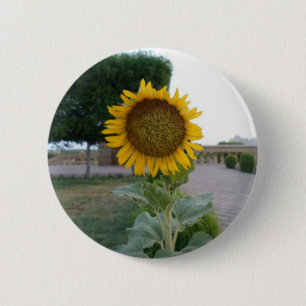 Badge Rond 5 Cm Tournesol