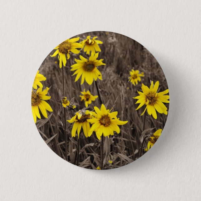 Badge Rond 5 Cm Tournesol dans la Montagne Rocheuse (Devant)