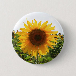 Badge Rond 5 Cm Tournesol ensoleillé
